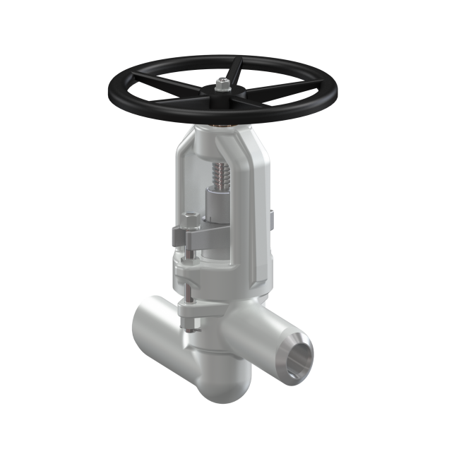Globe Valve